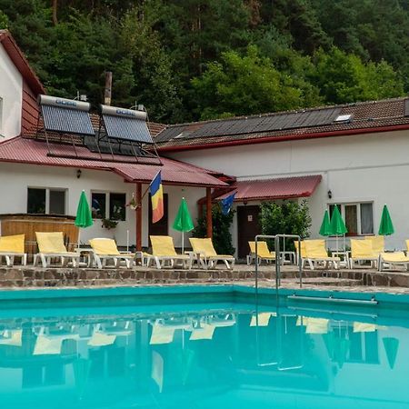 Pensiunea Alpin Paltinis Bagian luar foto