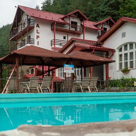 Pensiunea Alpin Paltinis Bagian luar foto