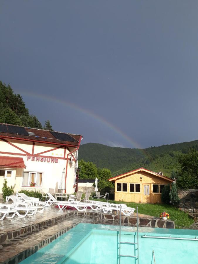 Pensiunea Alpin Paltinis Bagian luar foto