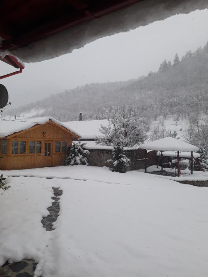 Pensiunea Alpin Paltinis Bagian luar foto