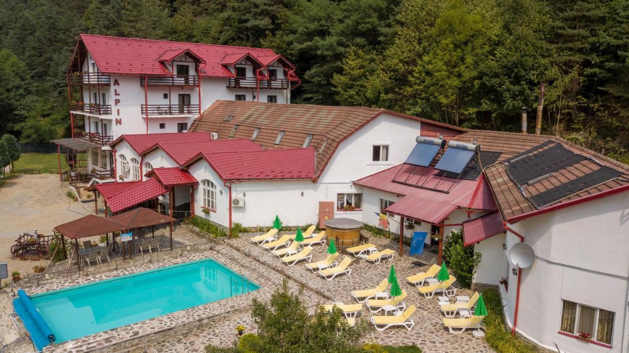 Pensiunea Alpin Paltinis Bagian luar foto