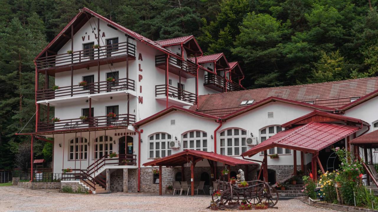Pensiunea Alpin Paltinis Bagian luar foto