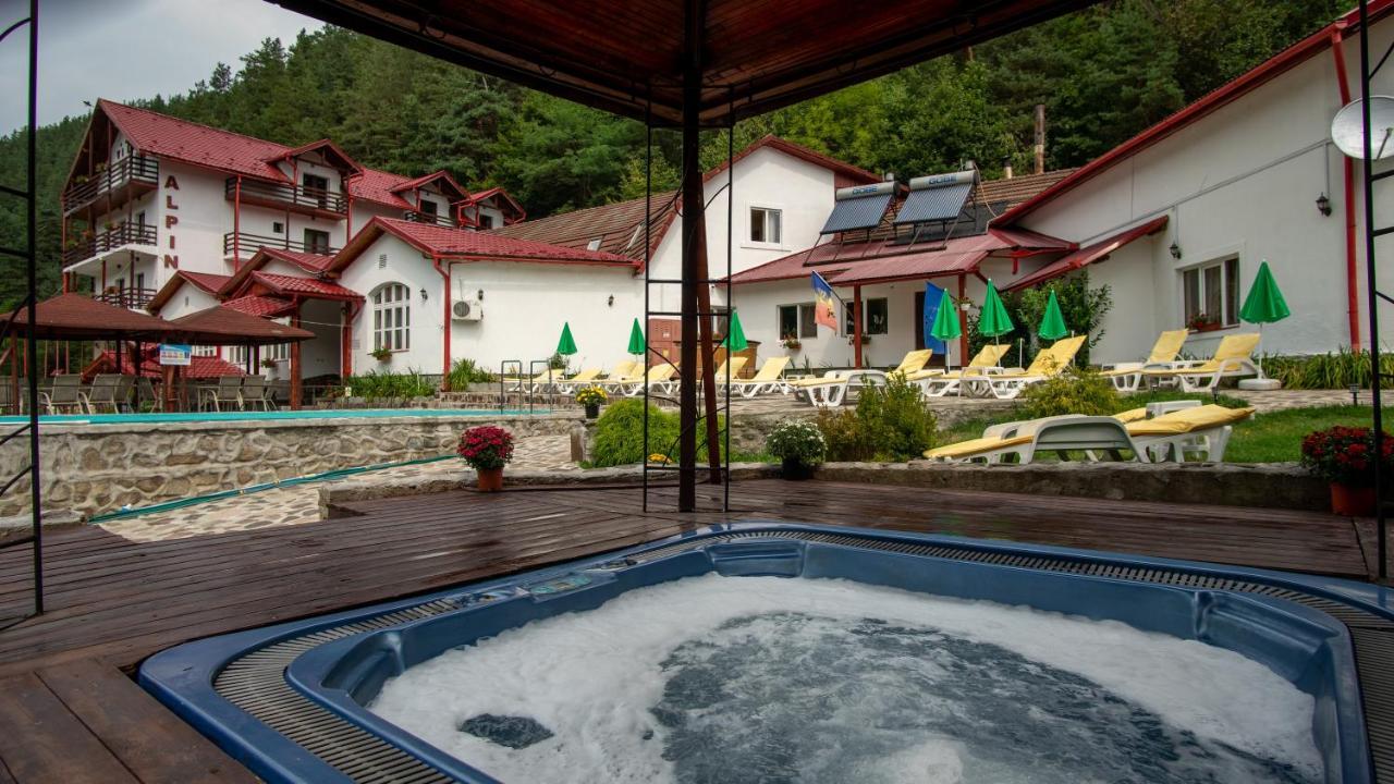 Pensiunea Alpin Paltinis Bagian luar foto