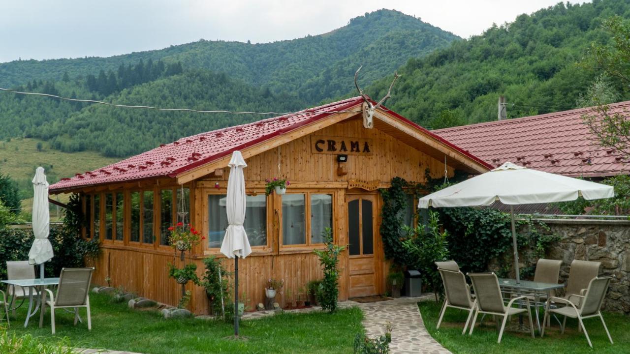 Pensiunea Alpin Paltinis Bagian luar foto