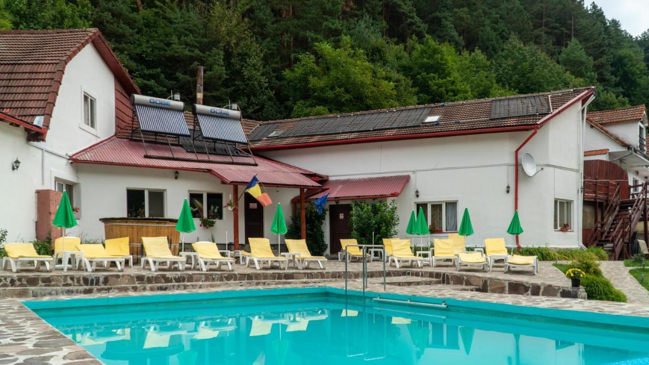 Pensiunea Alpin Paltinis Bagian luar foto