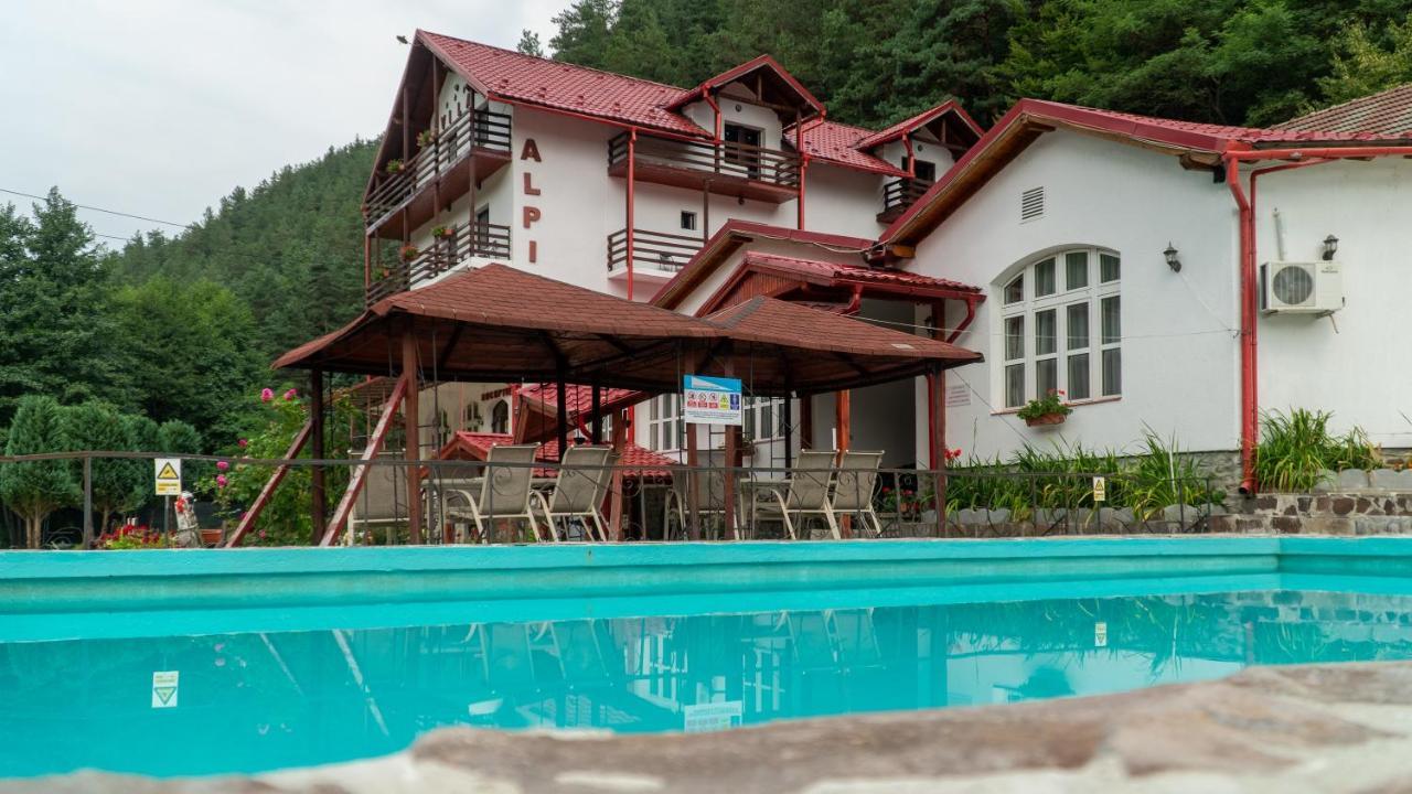 Pensiunea Alpin Paltinis Bagian luar foto