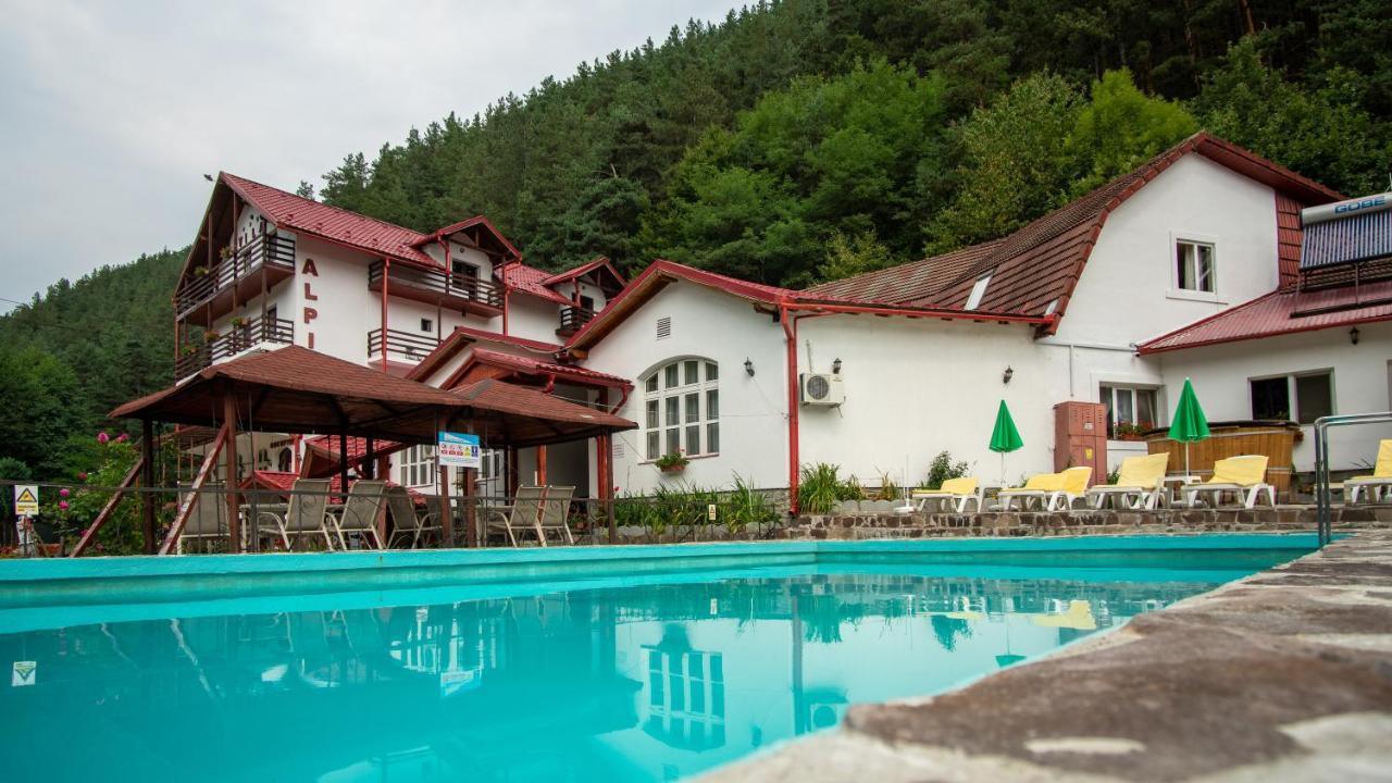 Pensiunea Alpin Paltinis Bagian luar foto
