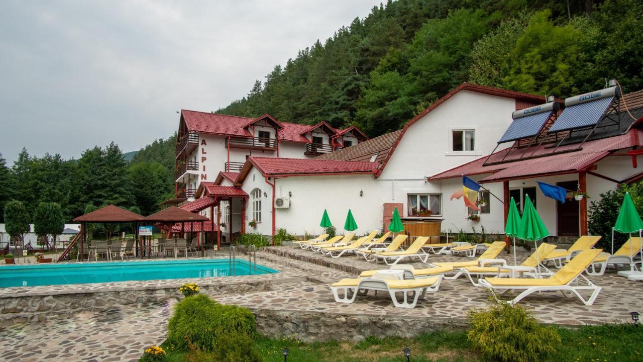Pensiunea Alpin Paltinis Bagian luar foto