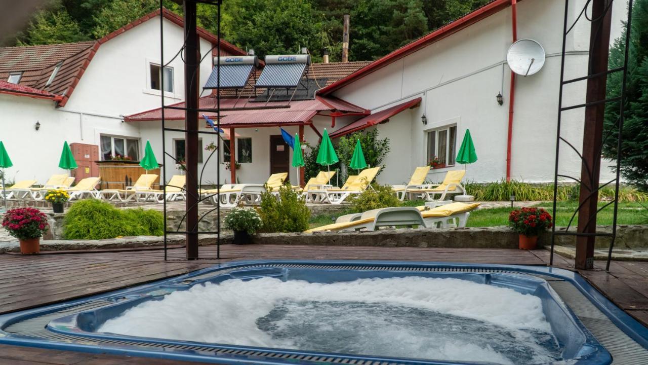 Pensiunea Alpin Paltinis Bagian luar foto
