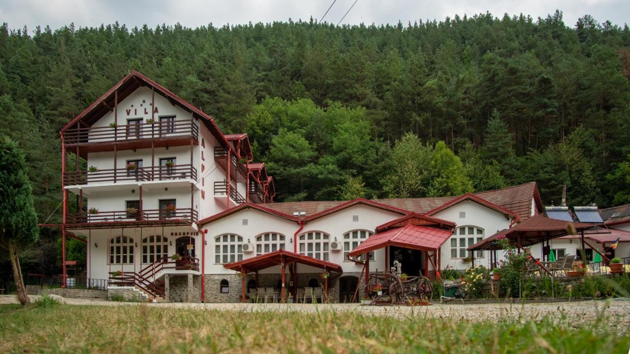 Pensiunea Alpin Paltinis Bagian luar foto