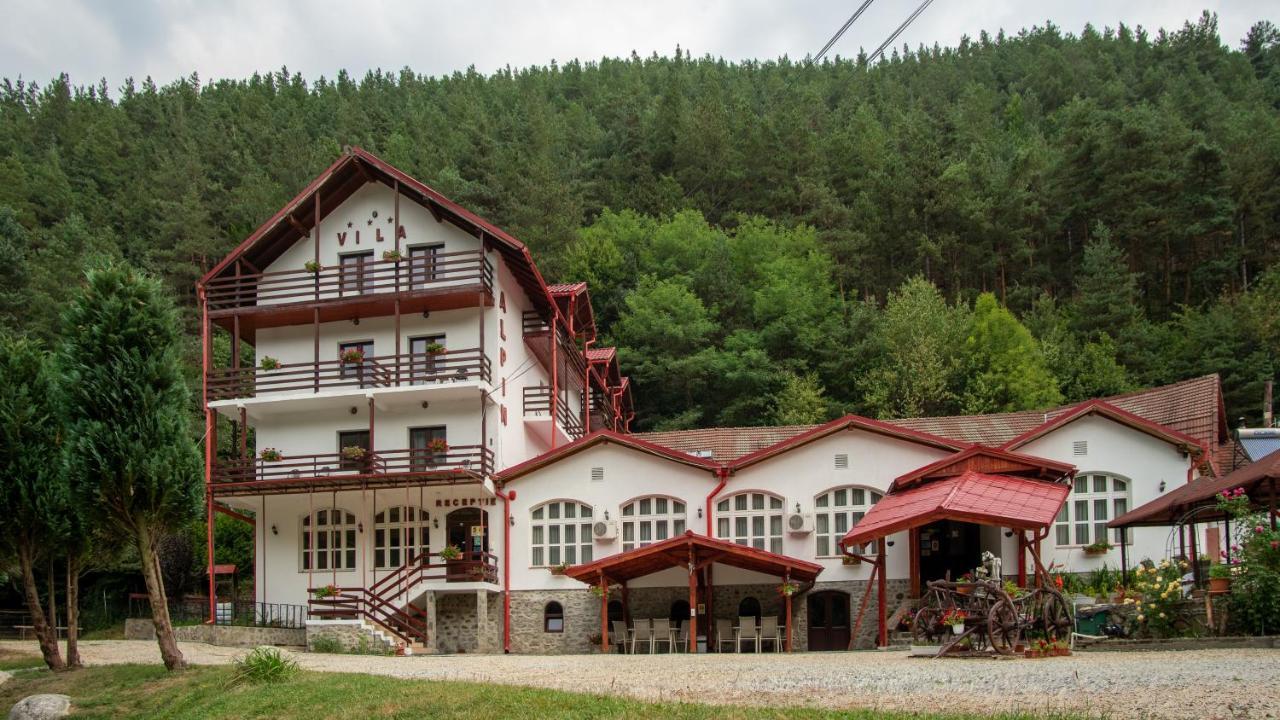 Pensiunea Alpin Paltinis Bagian luar foto