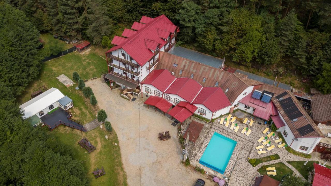 Pensiunea Alpin Paltinis Bagian luar foto