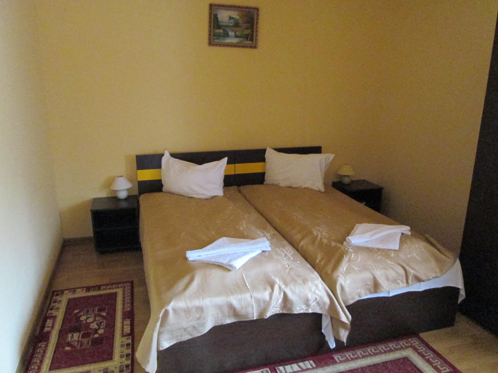 Pensiunea Alpin Paltinis Ruang foto