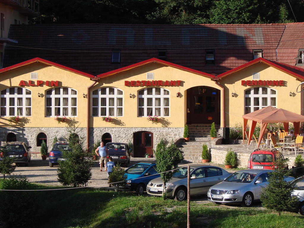 Pensiunea Alpin Paltinis Bagian luar foto