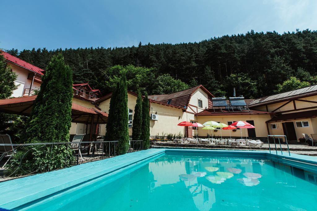 Pensiunea Alpin Paltinis Bagian luar foto