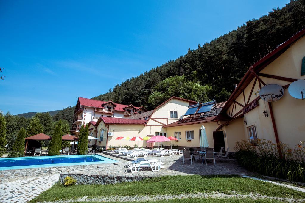 Pensiunea Alpin Paltinis Bagian luar foto