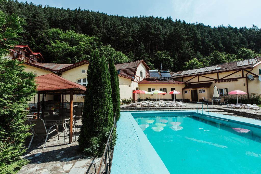 Pensiunea Alpin Paltinis Bagian luar foto